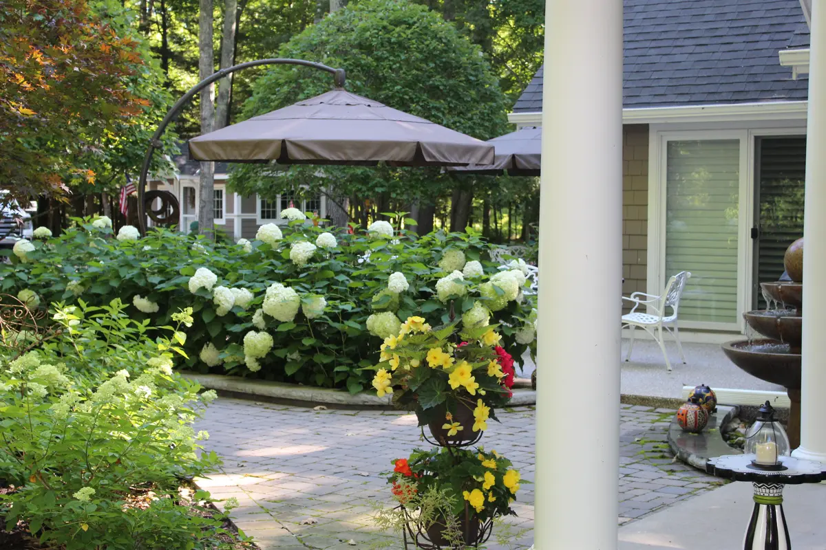 Patio with hydrangea flowers and outdoor seating area