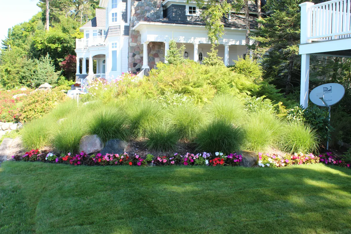 Landscaped garden with ornamental grasses and flowers by cottage