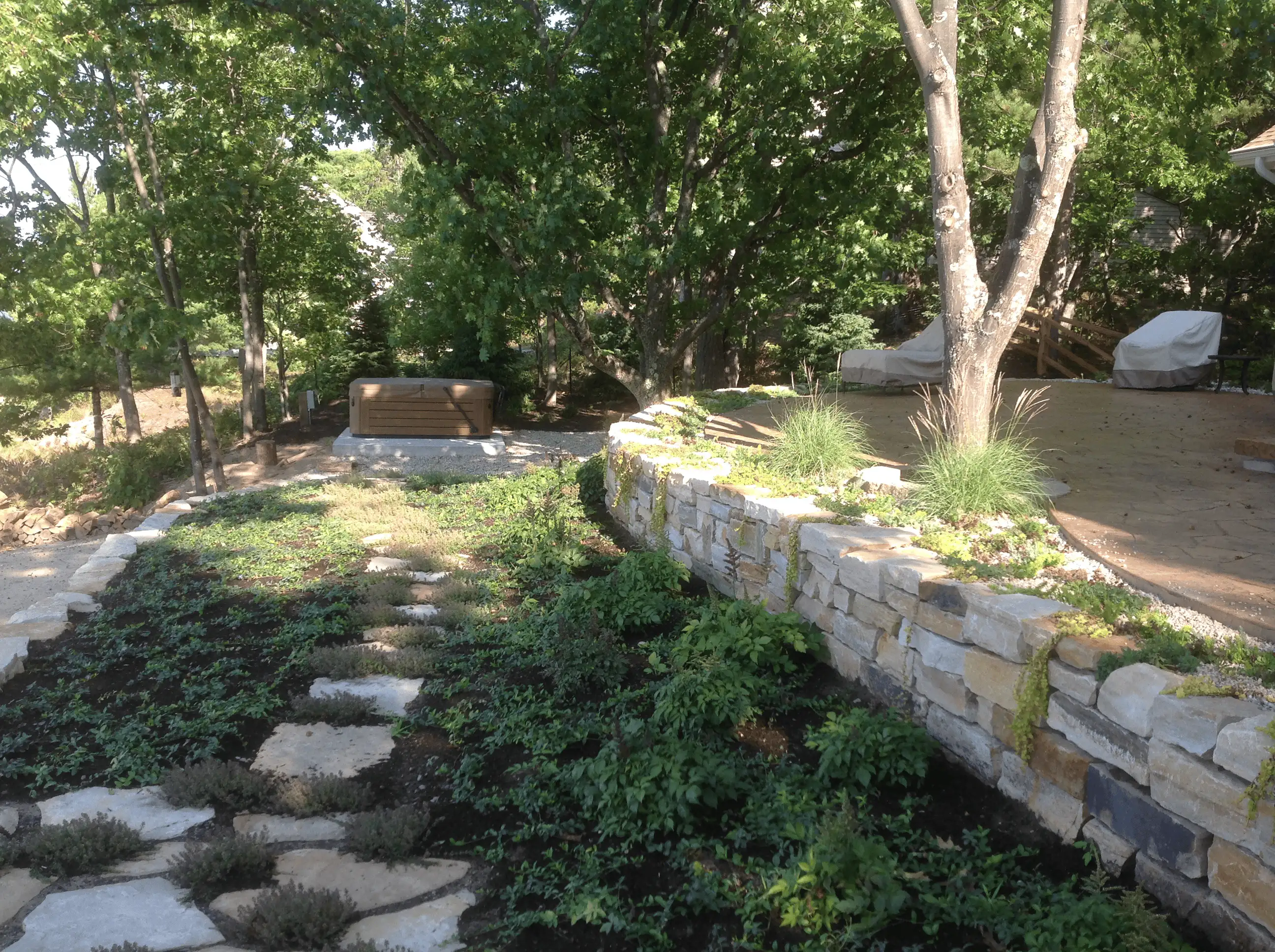 After: stone walkway installed through the yard.