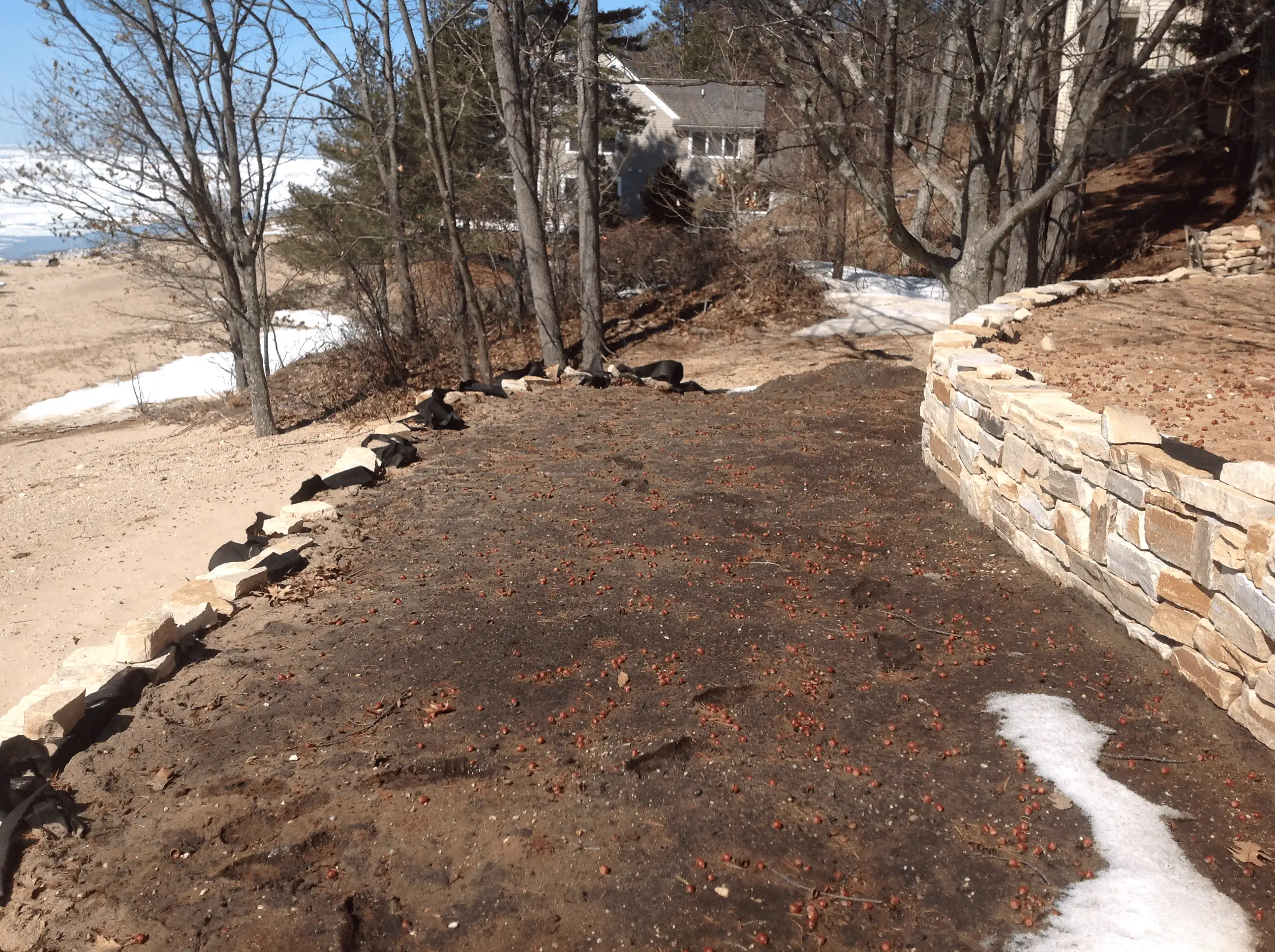 Before: informal walking route before stone walkway installation.