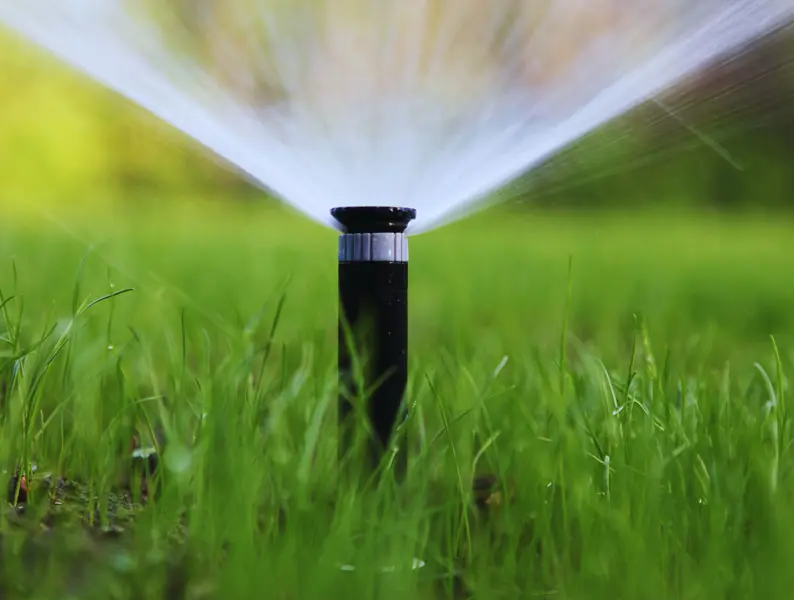 Sprinkler watering a green lawn in the evening