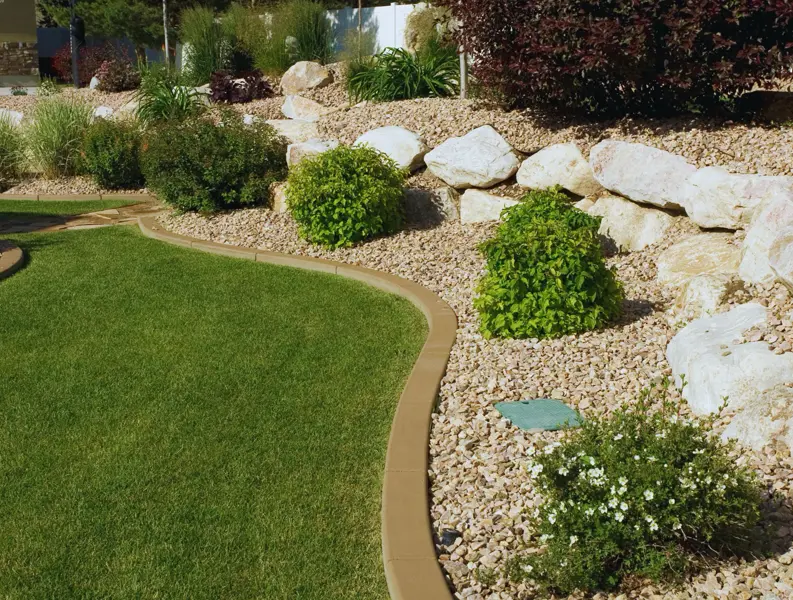 Landscaped yard with stone path and plantings