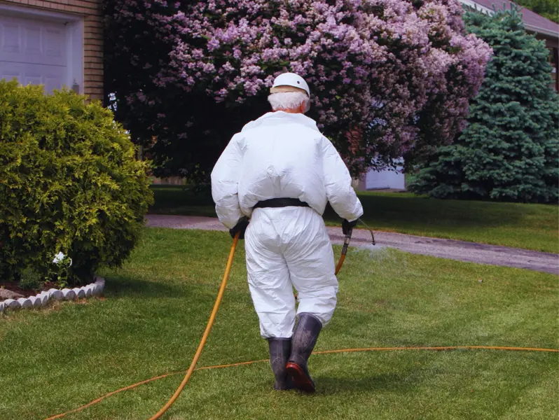 Close-up of healthy green lawn turf