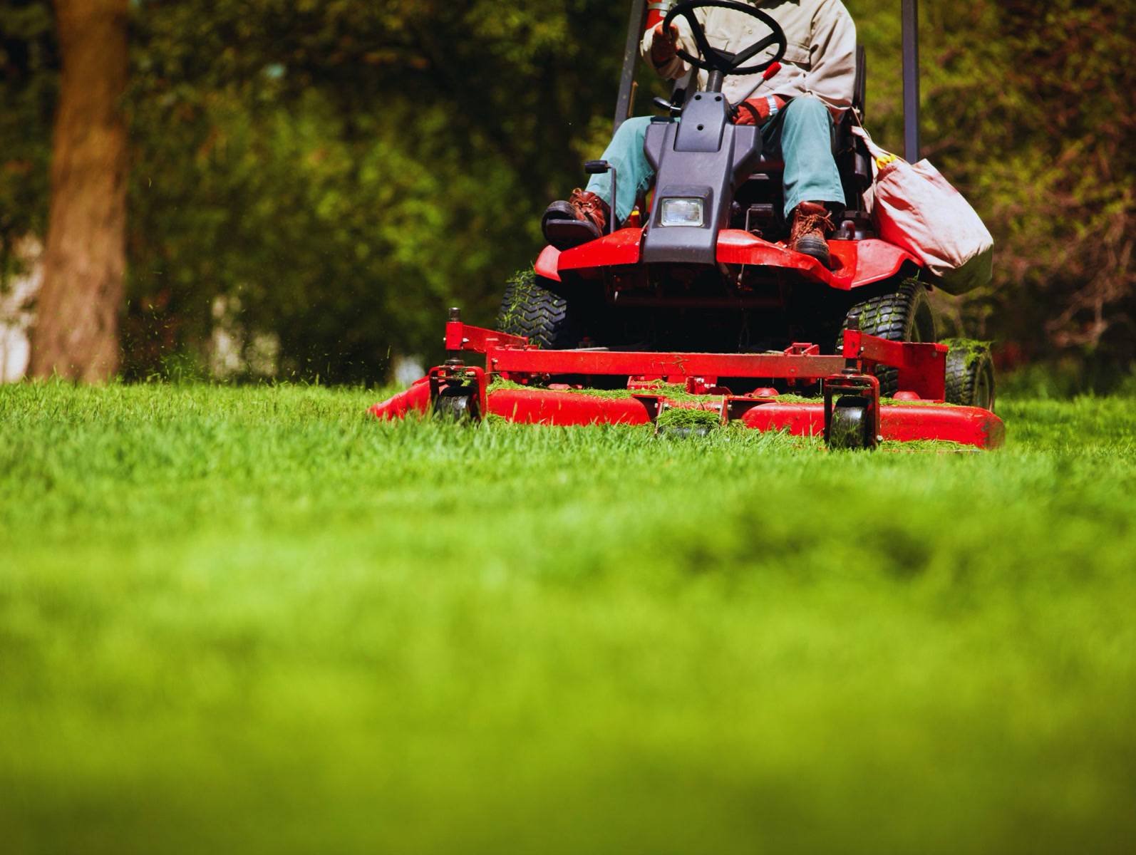 Lawncare